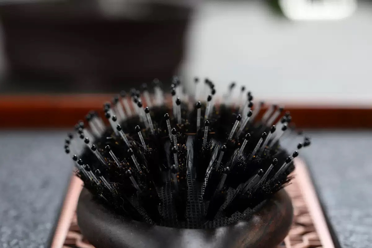 LYSF Beauty Travel Premium Boar- Bristle Hair Brush - Image 4